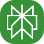 Perplexity logo