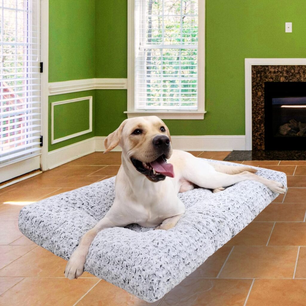 Calming dog bed for sensitive dogs: a plush crate-friendly bed, a large orthopedic sofa-style bed with bolsters, and a waterproof egg-crate foam bed.