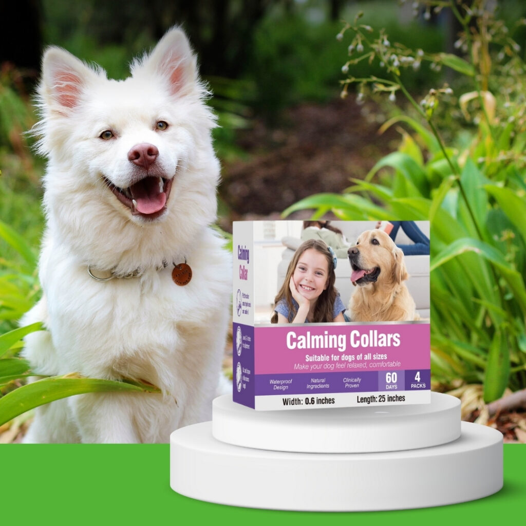 Calming dog collar with lavender and chamomile ingredients beside a relaxed Labrador wearing the collar, product packaging visible in background. - Happy Barker