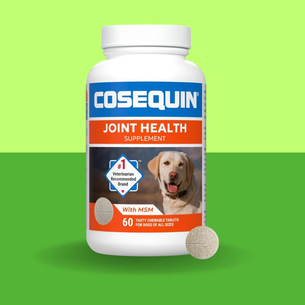 Discover how Cosequin Maximum Strength can improve your dog’s mobility and joint comfort. Learn about real results, benefits, and a buying guide for sensitive pups | HappyBarker