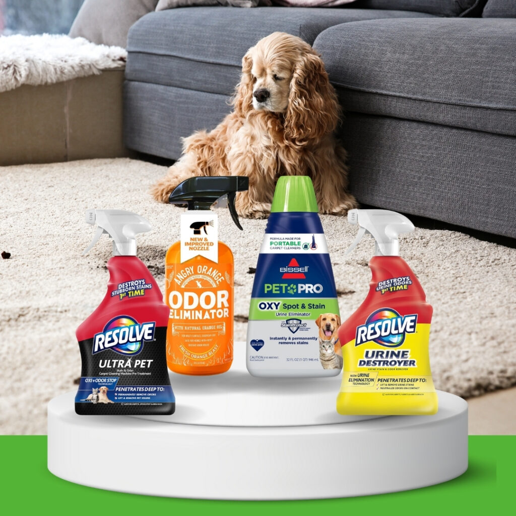 Discover effective, dog-safe urine stain and odor removers for carpets. In-depth reviews, usage tips, and buying guide to keep your home fresh | HappyBarker