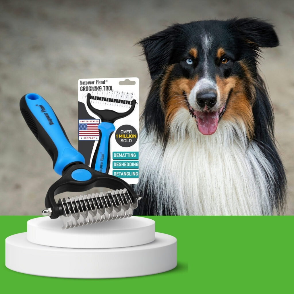 Long haired dog sitting beside the Maxpower Planet Pet Grooming Brush, showcasing ideal grooming tools for dogs with long coats | HappyBarker