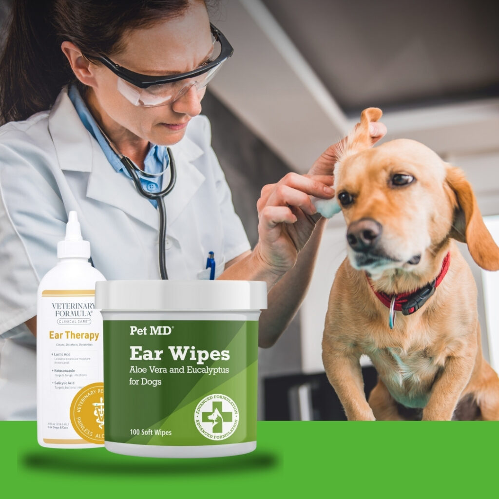 Pet MD Ear Wipes and Veterinary Formula Clinical Care bottles placed beside a happy dog during ear cleaning session | HappyBarker
