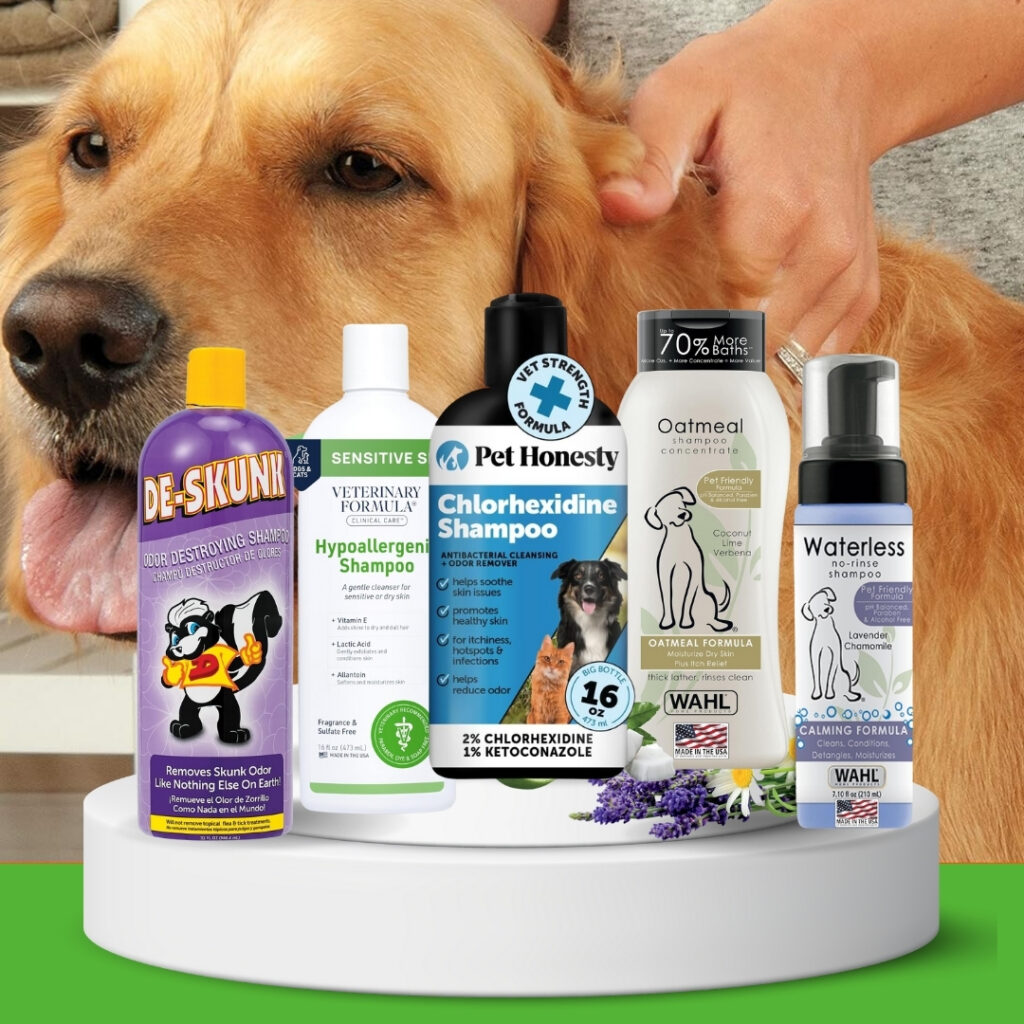 Top dog shampoos displayed with happy dogs of various breeds getting washed and pampered | HappyBarker