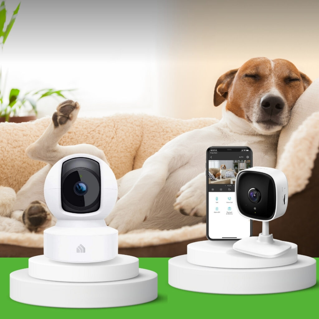 A sleeping dog resting peacefully with two dog cameras placed nearby for monitoring and security | HappyBarker