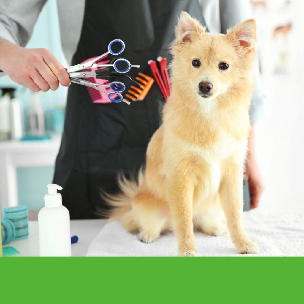 Dog grooming table with adjustable arms and a dog getting a haircut at home | HappyBarker