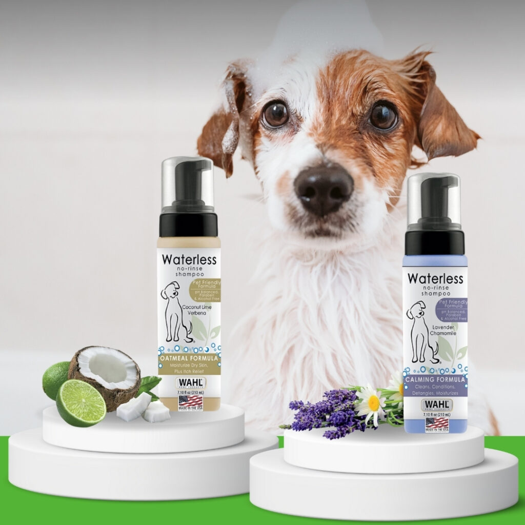 A fluffy long-haired dog sitting calmly beside a bottle of waterless coconut and Lavender dog shampoo | HappyBarker