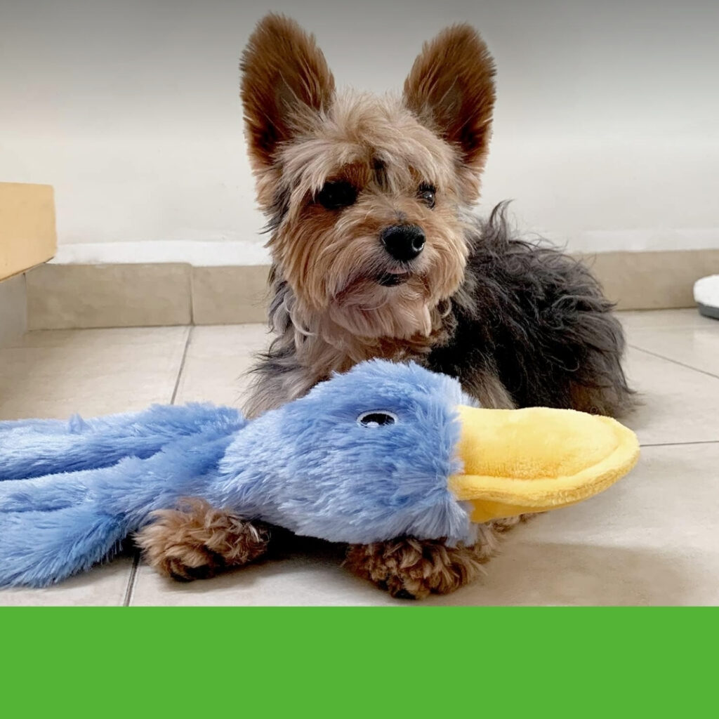 Happy sensitive dog enjoying a gentle plush toy | HappyBarker