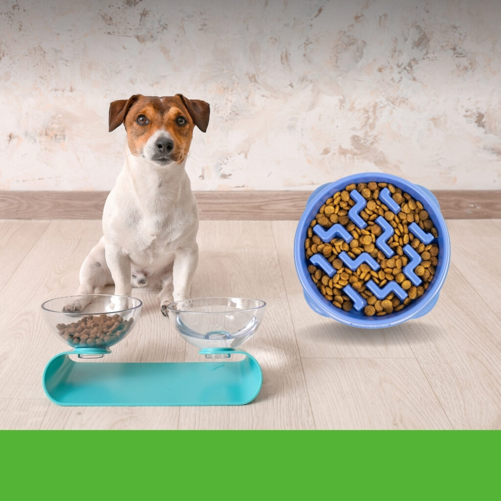A curious dog eating from the Outward Hound Fun Feeder slow feeder dog bowl on a kitchen floor | HappyBarker