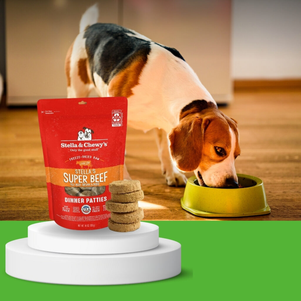 Long-haired dog happily eating Stella and Chewy dog food from a bowl on the kitchen floor | HappyBarker
