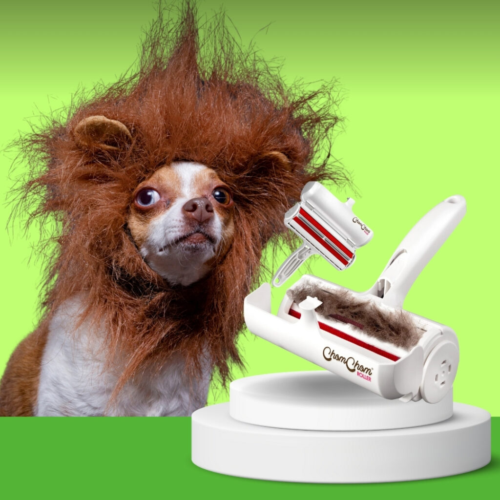 ChomChom Roller pet hair remover tool on couch covered with dog hair | HappyBarker