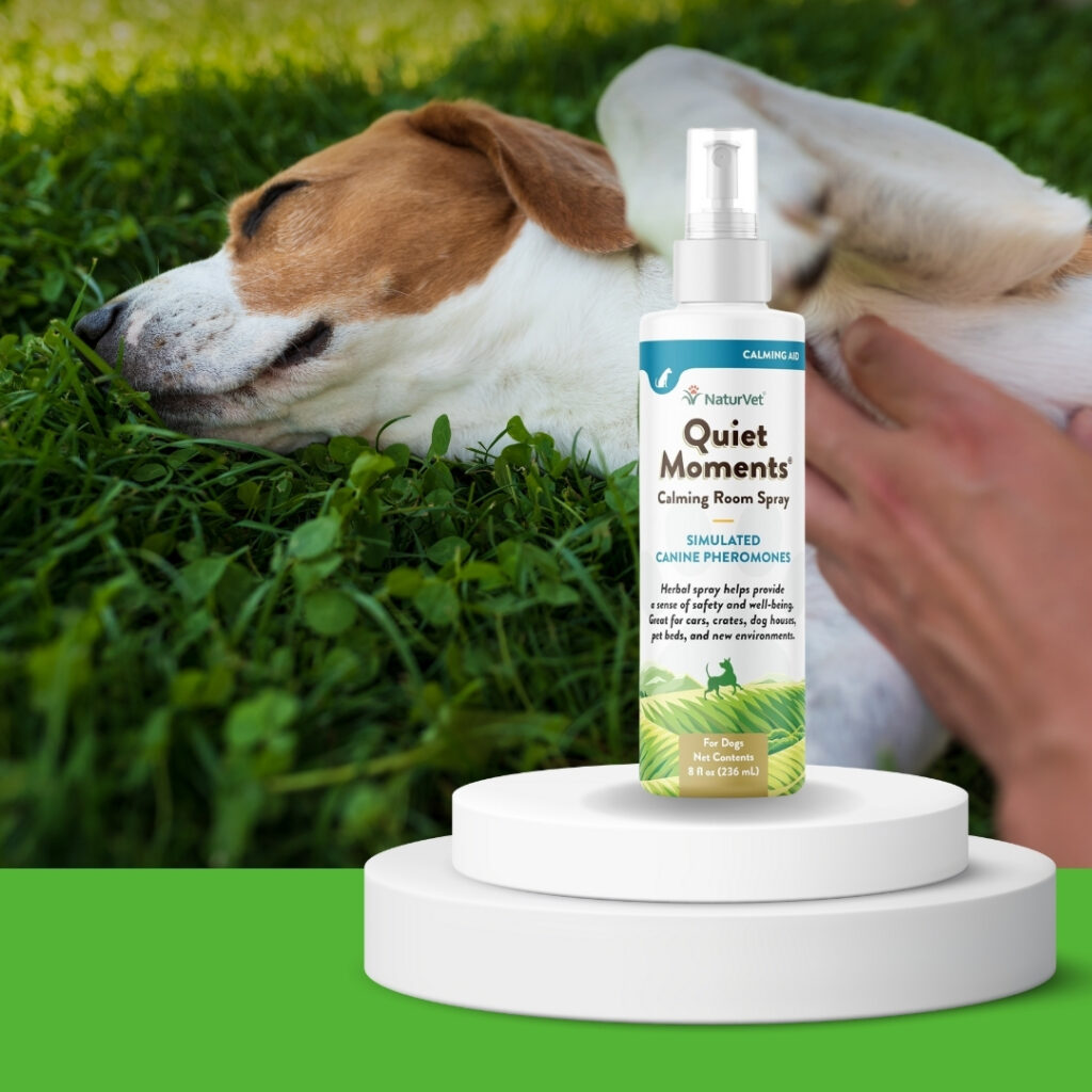 A happy dog relaxing peacefully next to a calming dog spray bottle on a cozy dog bed | HappyBarker