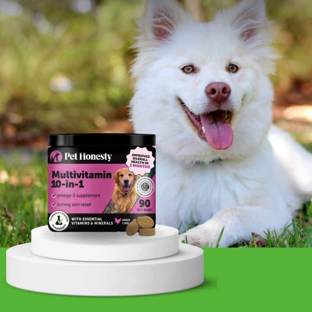 A happy dog sitting beside its daily multivitamin and probiotics chew | HappyBarker