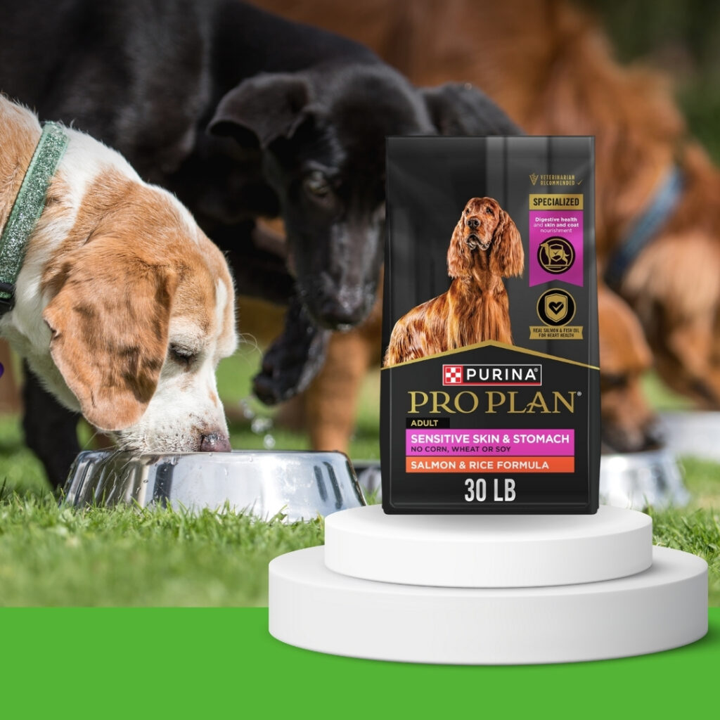 Group of happy dogs enjoying Purina Pro Plan Sensitive Skin and Stomach Dog Food next to product bag, ideal dry dog food for digestive issues and sensitive skin | HappyBarker