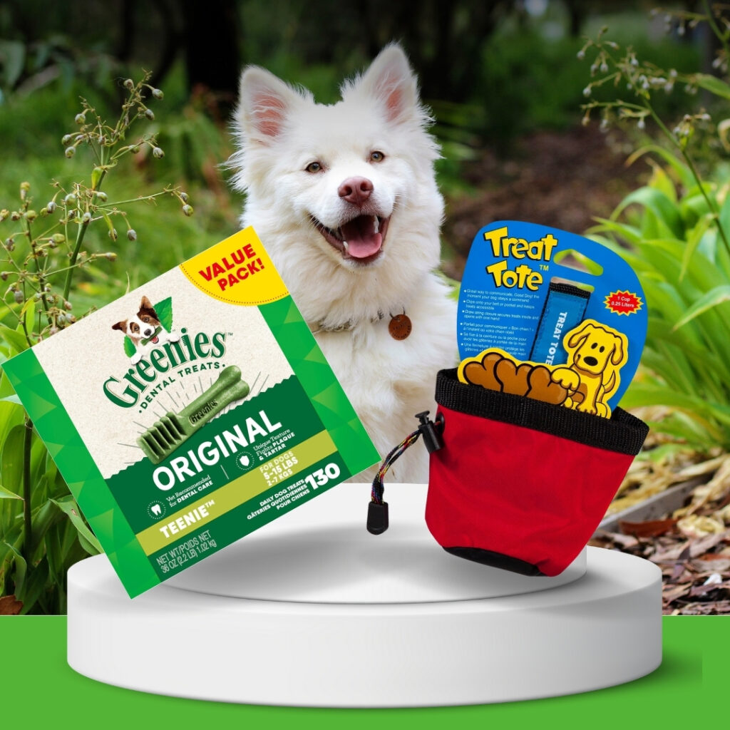Chuckit! Treat Tote and Greenies Teenie Dental Chews together on grass | HappyBarker