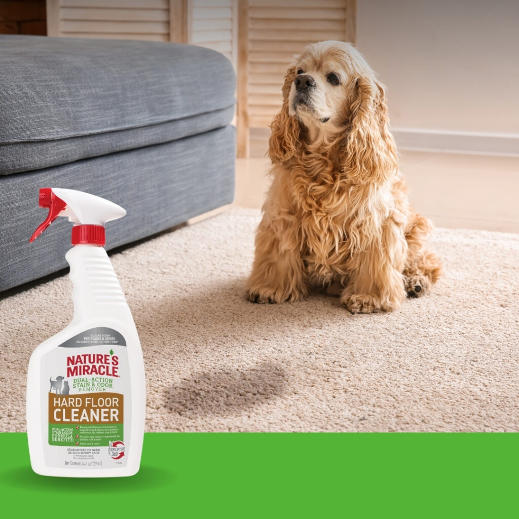 A caring dog owner gently cleaning a hardwood floor spot with Nature’s Miracle Hard Floor Cleaner | HappyBarker