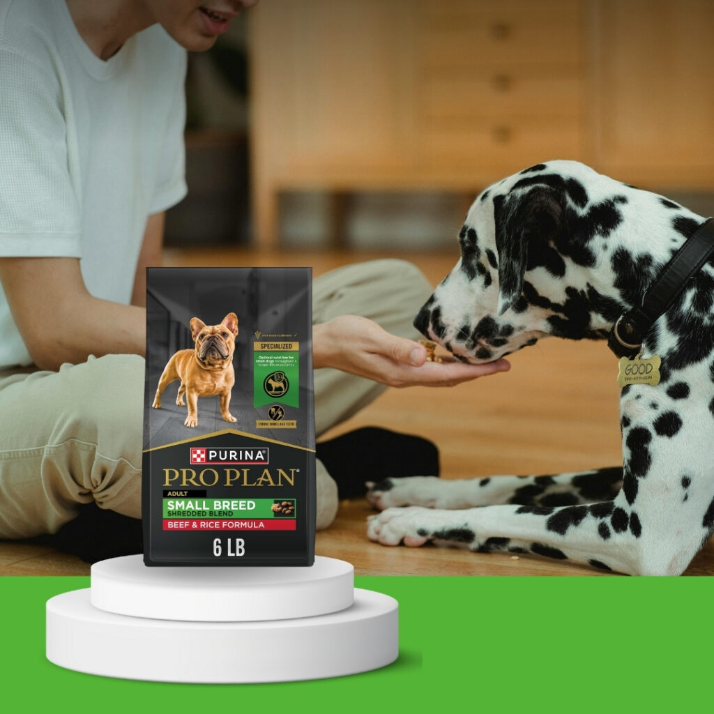 Smiling small dog enjoying a beef and rice kibble with probiotics | HappyBarker