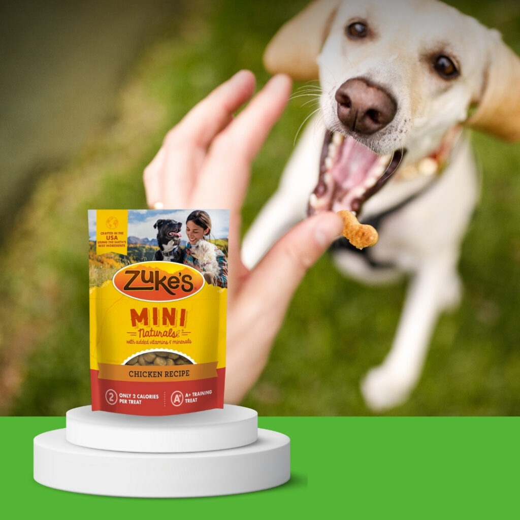 A happy dog being rewarded with a chicken-based treat | HappyBarker