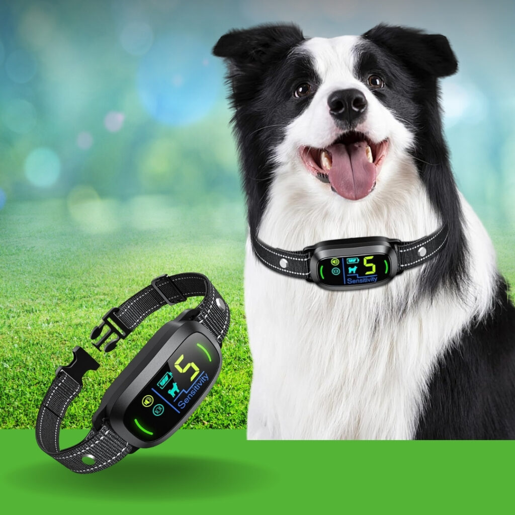 A happy dog wearing a gentle vibration bark collar with a calm expression | HappyBarker