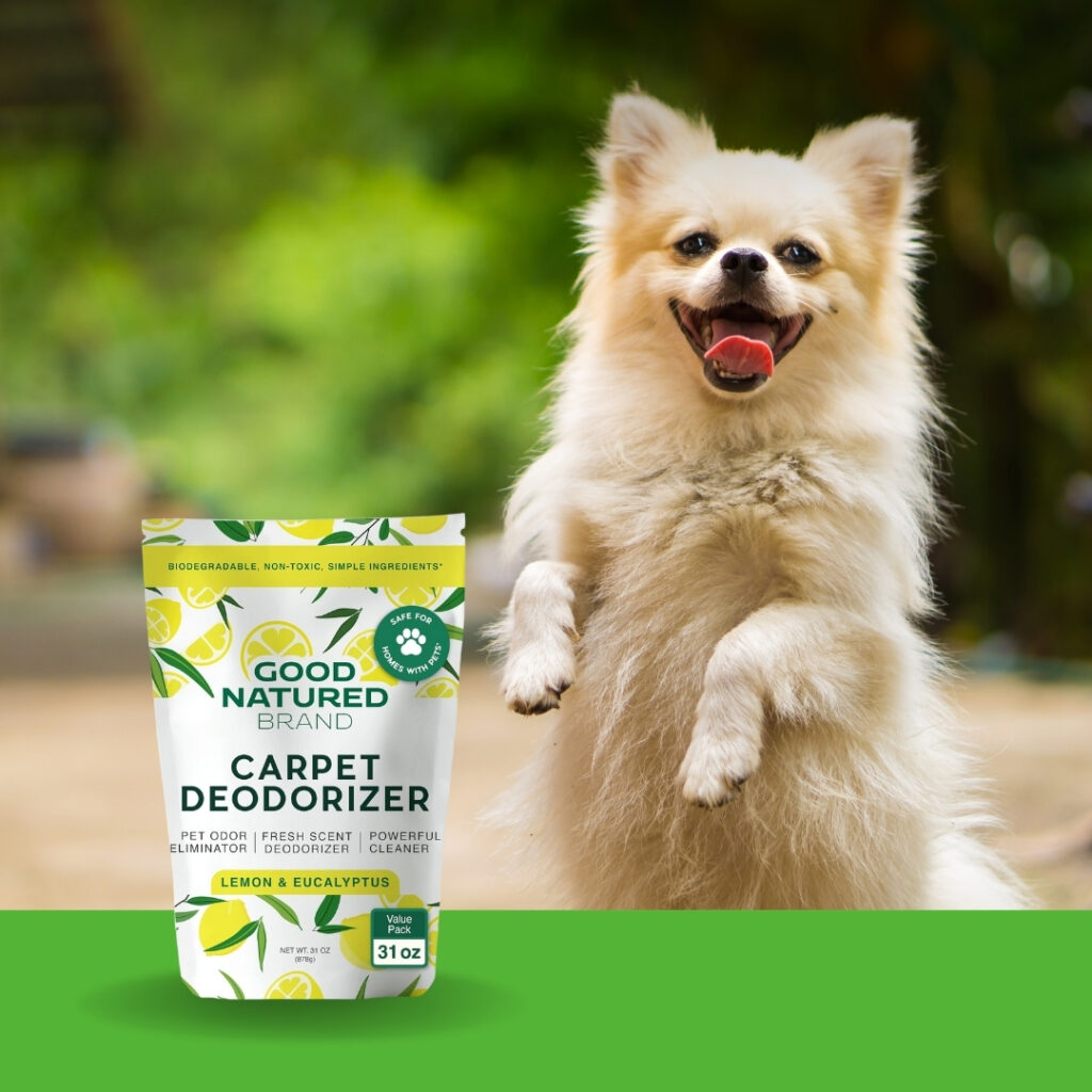 Dog enjoying a clean, fresh-smelling home after using a pet odor eliminator | HappyBarker
