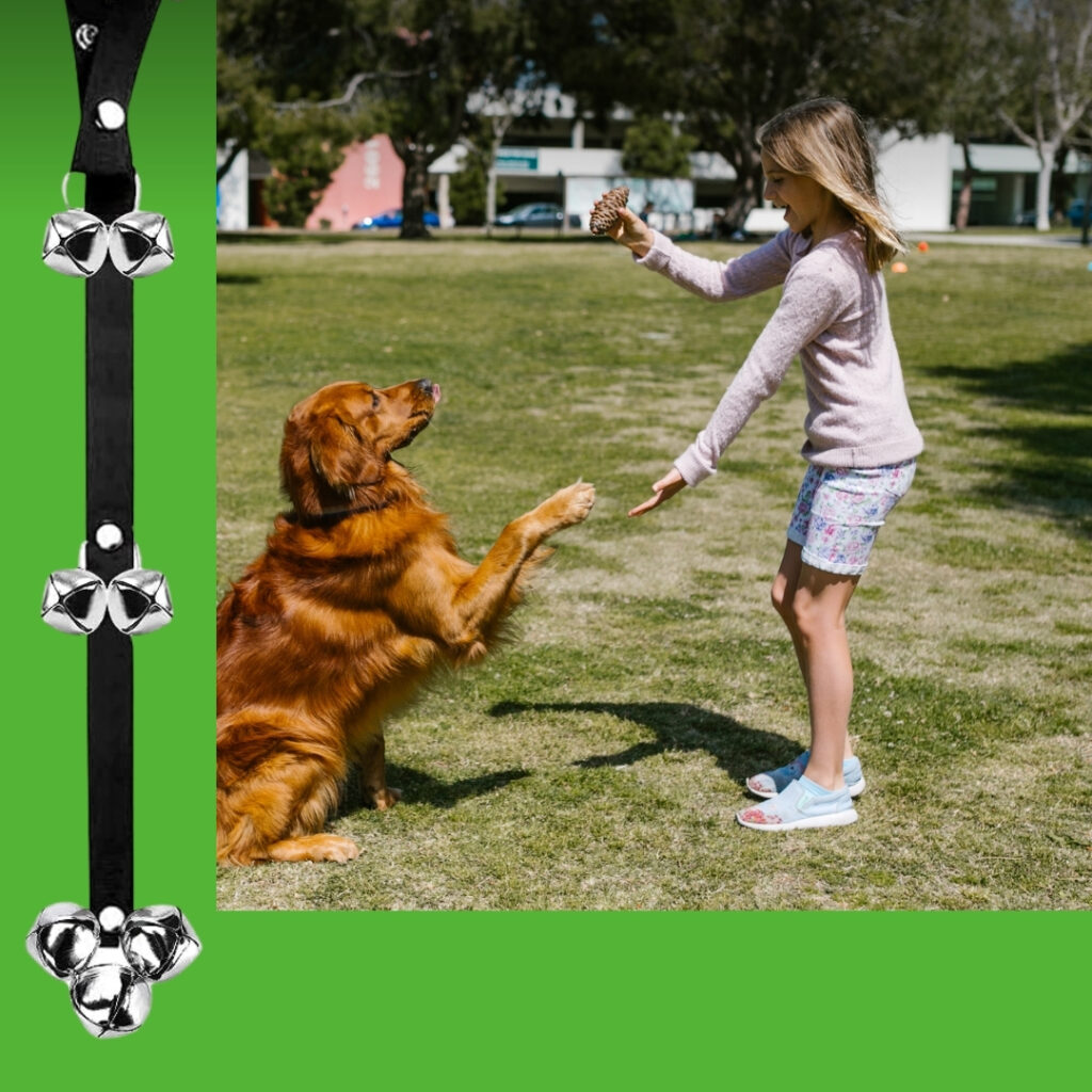 Puppy next to a dog doorbell used for potty training | HappyBarker