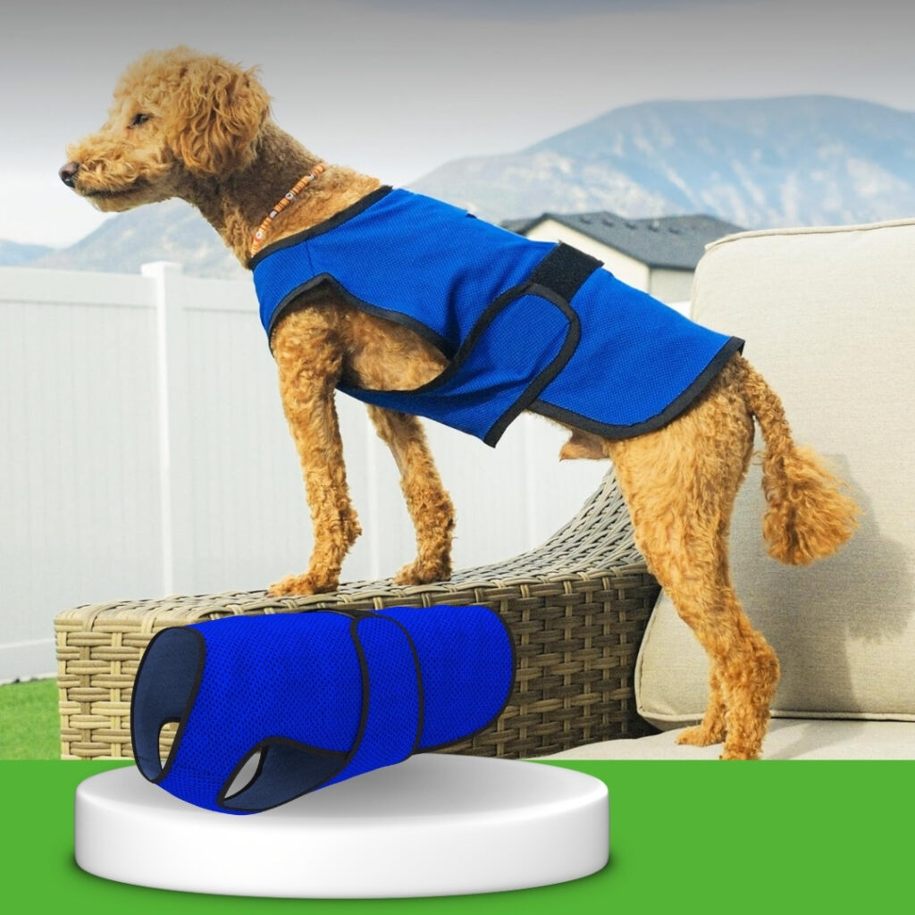 Dog wearing a dog cooling vest outdoors to prevent heat stroke | HappyBarker