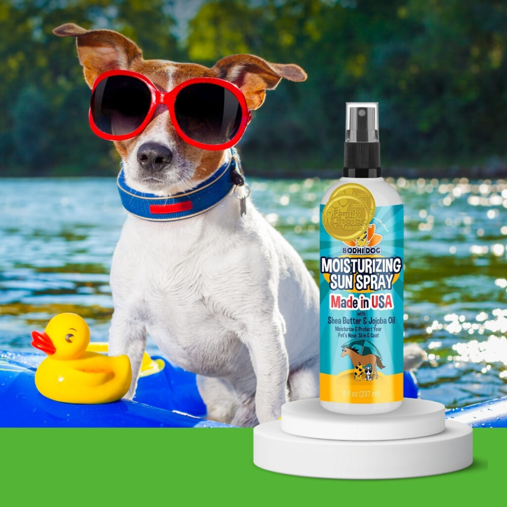 Dog outdoors under sun, wearing sunscreen and moisturized coat | HappyBarker