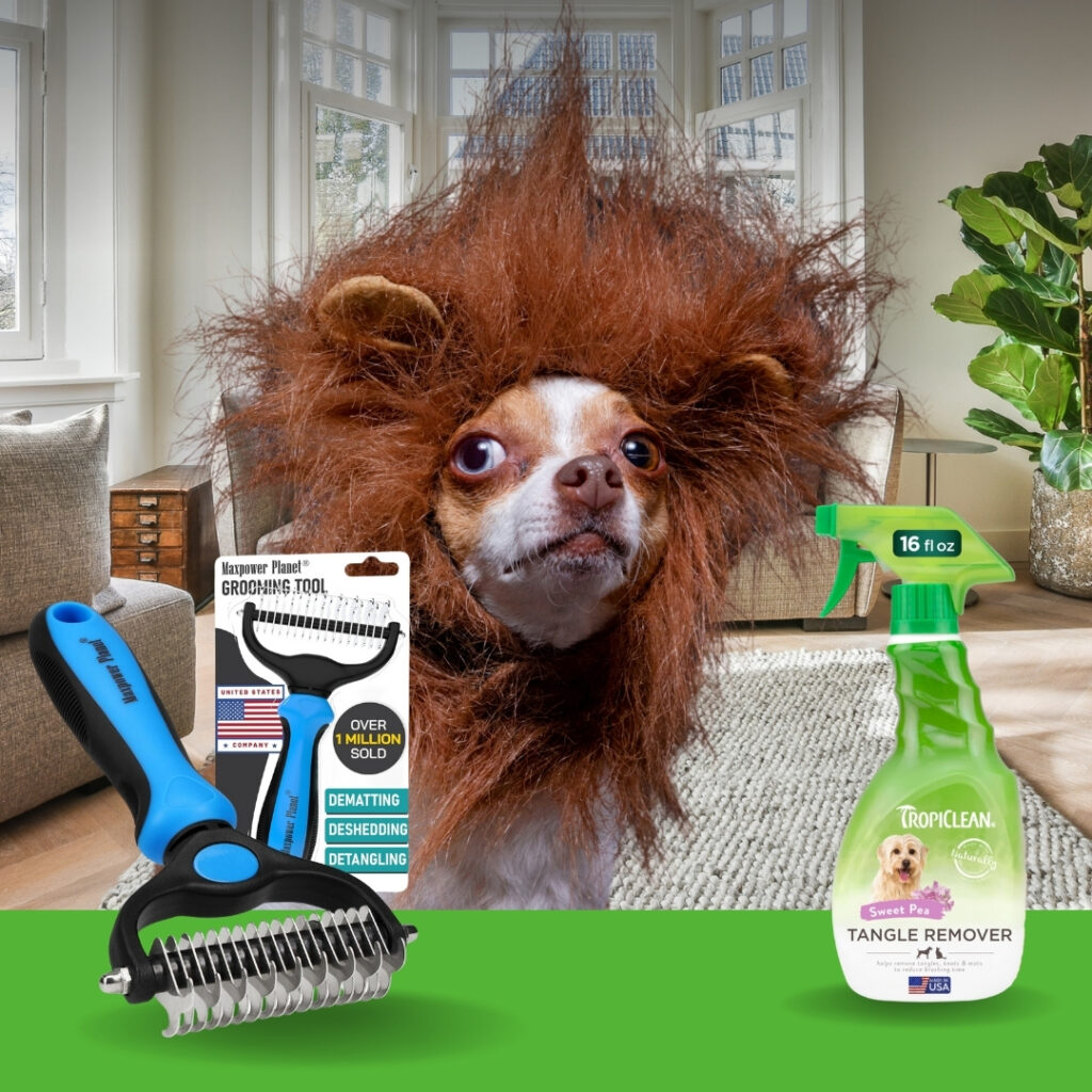 Long-haired dog with tangled fur before grooming, shown with best dog brush and detangler spray to reduce shedding | HappyBarker