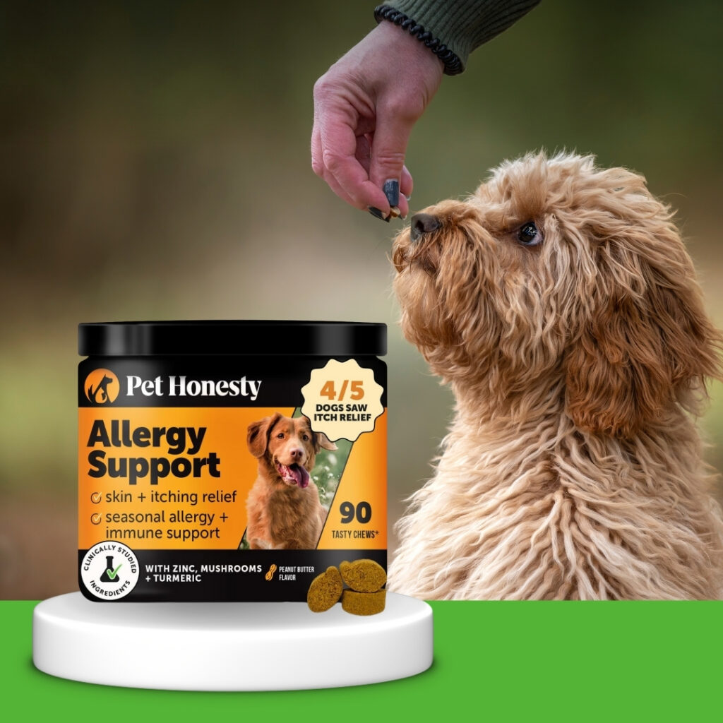 Dog happily taking Dog Allergy Itch Relief supplement with product container beside him | HappyBarker