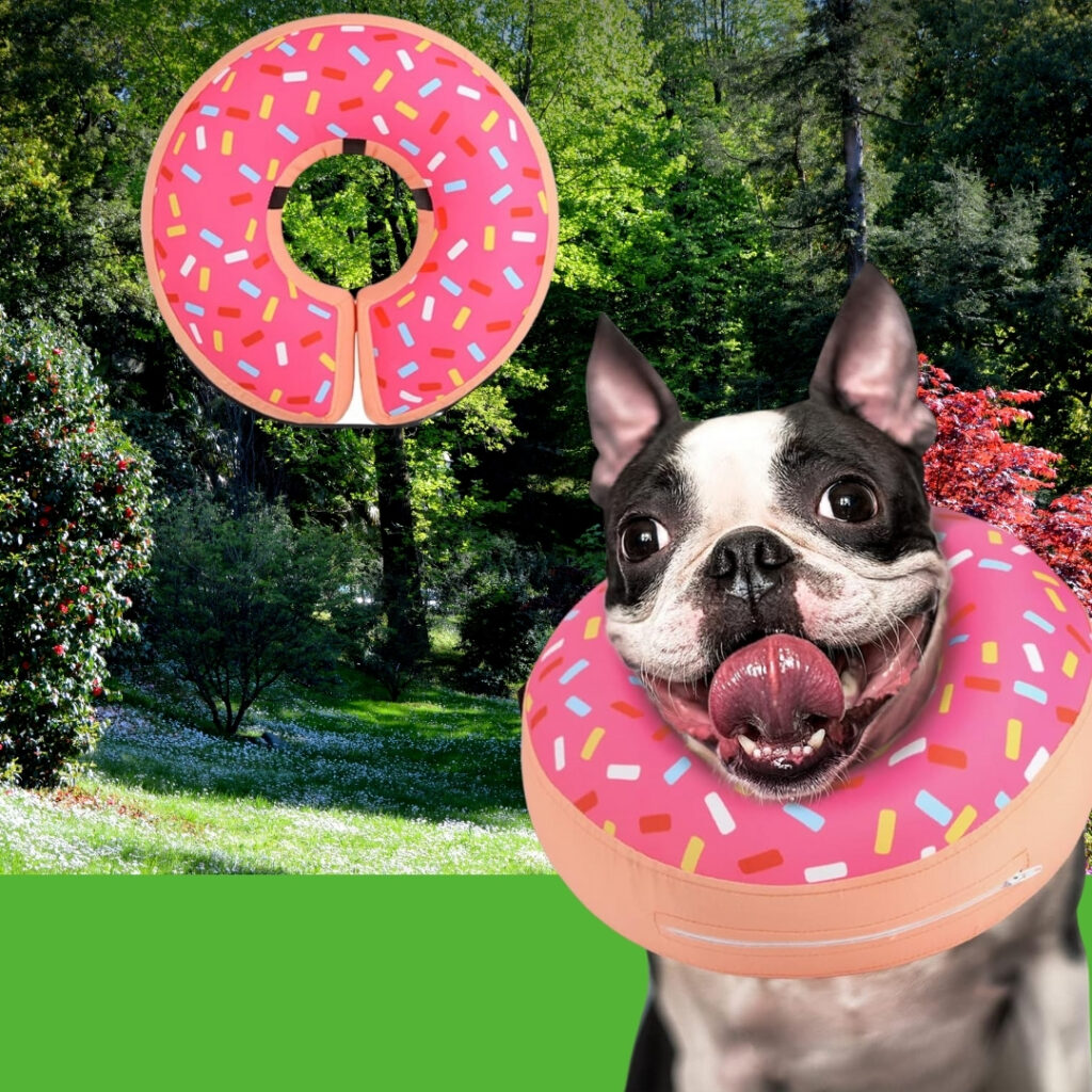 A dog resting comfortably while wearing the Supet Inflatable Dog Cone Collar | HappyBarker