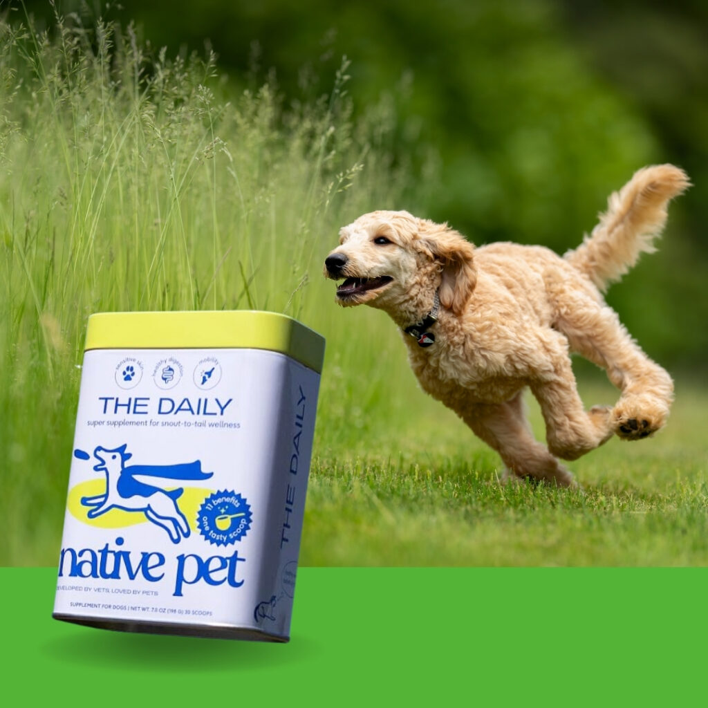 Native Pet 11-in-1 dog multivitamin powder for joint, gut, and coat health | HappyBarker