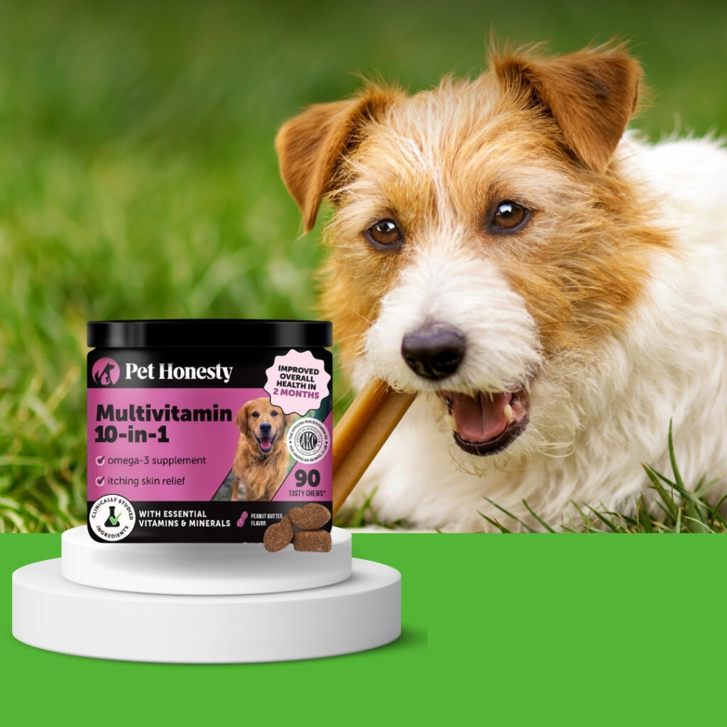 Happy dog receiving a peanut butter flavored multivitamin treat for joint, skin, and digestive support | HappyBarker