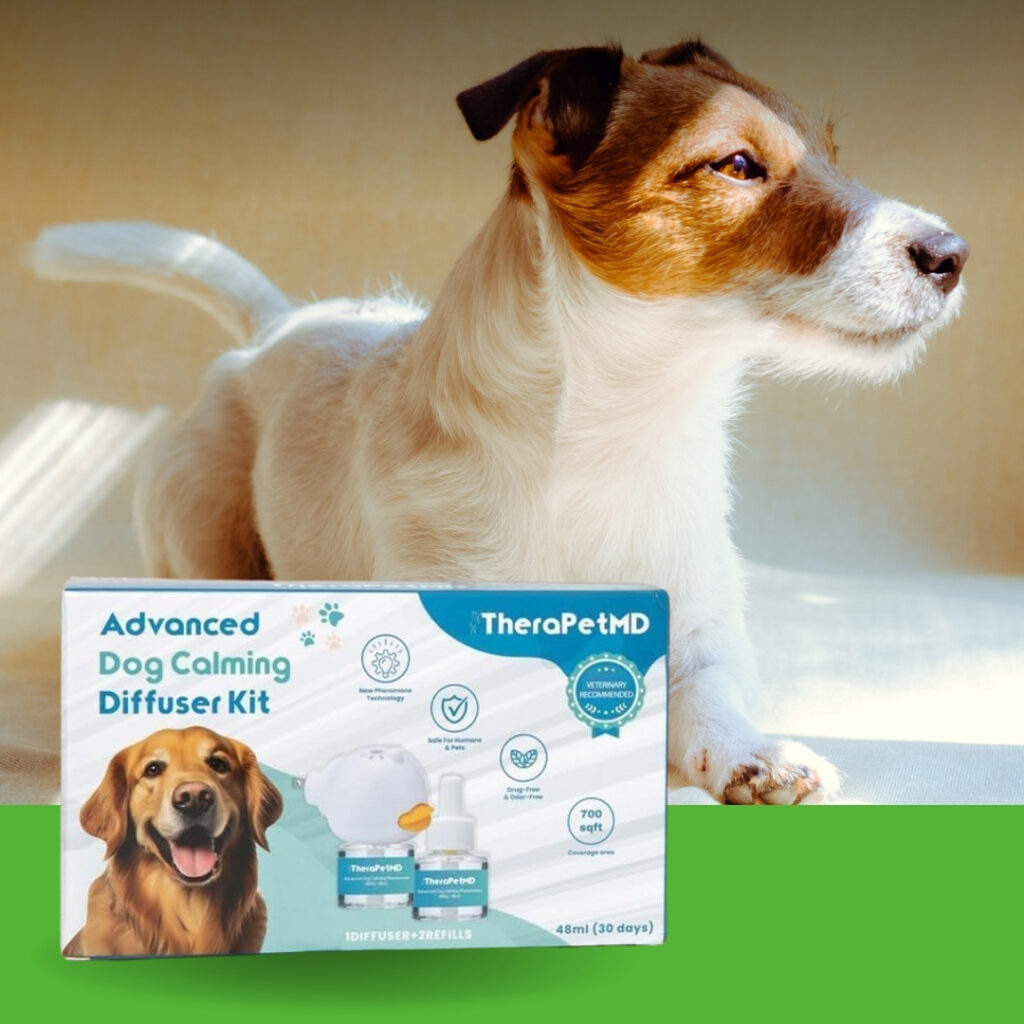 A relaxed dog resting peacefully beside a dog pheromone diffuser plugged | HappyBarker