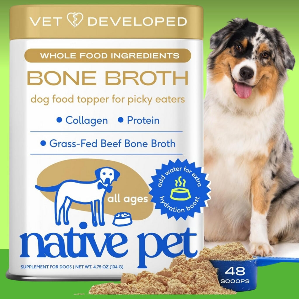 Dog enjoying a warm bowl of Native Pet Bone Broth for Dogs after a walk | HappyBarker