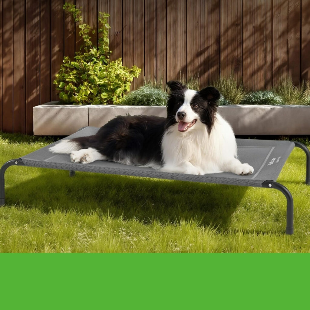 Large dog lounging on Bedsure Elevated Cooling Dog Bed outdoors during summer | HappyBarker