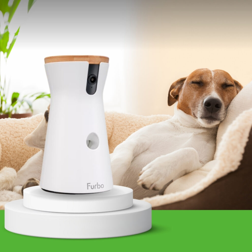 Dog sleeping next to Furbo 360° dog camera at home | HappyBarker
