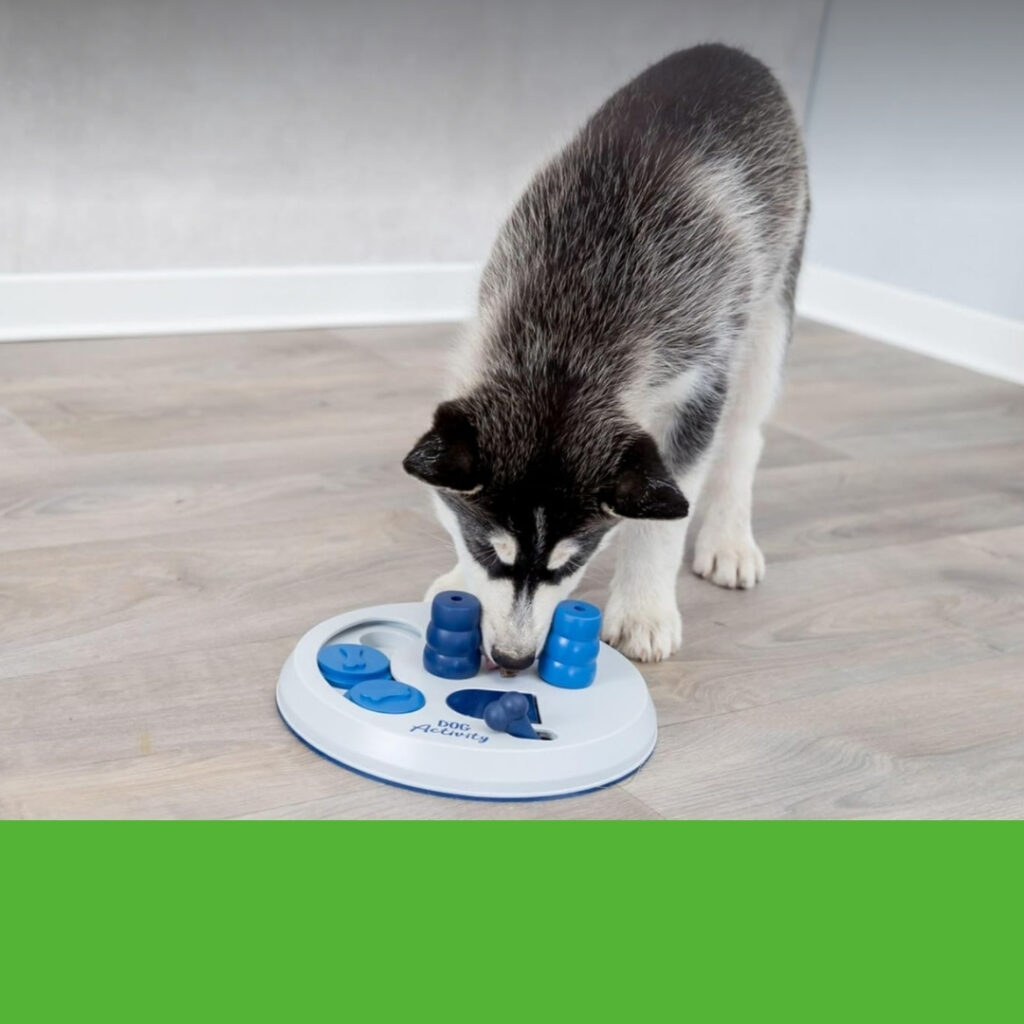 TRIXIE Flip Board Dog Puzzle Toy in use by a happy pup | HappyBarker