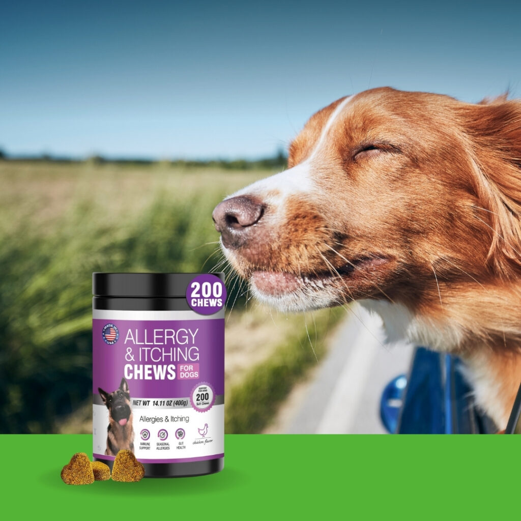 Dog enjoying allergy relief with Dog Allergy Chews 200PCs | HappyBarker