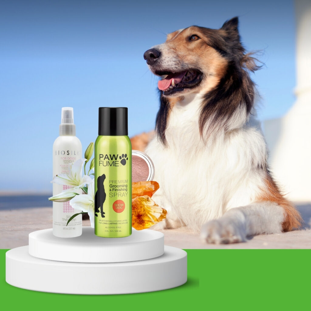 A happy long-haired dog sitting calmly after a grooming session with BioSilk and Pawfume Detangler Sprays | HappyBarker