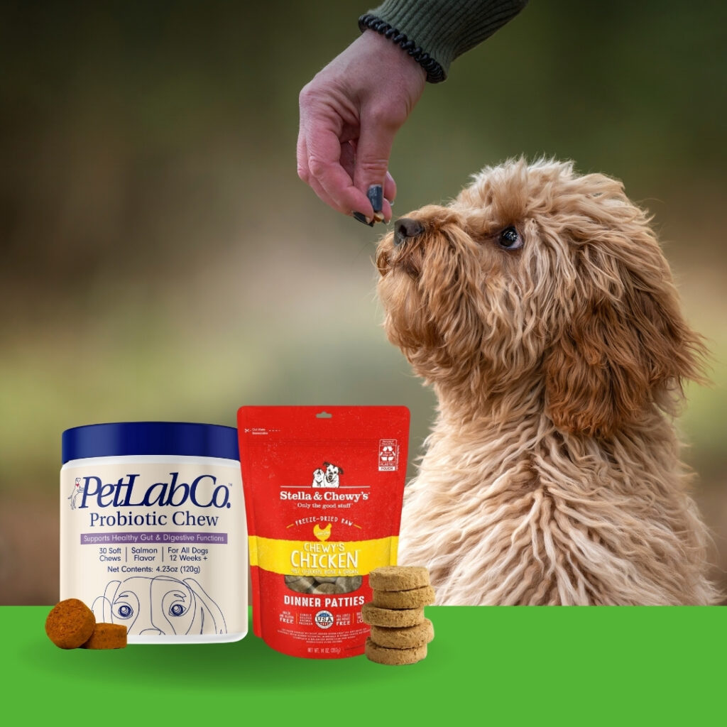 Dog enjoying Stella & Chewy's Freeze-Dried Raw Dinner Patties alongside PetLab Co. Probiotics | HappyBarker
