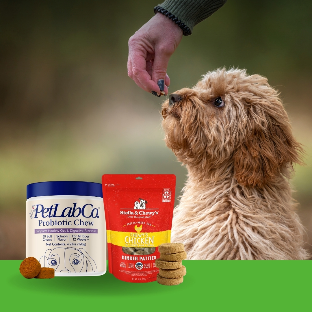 The Best Dry Dog Food Brands 2026 | Dog Food Advisor