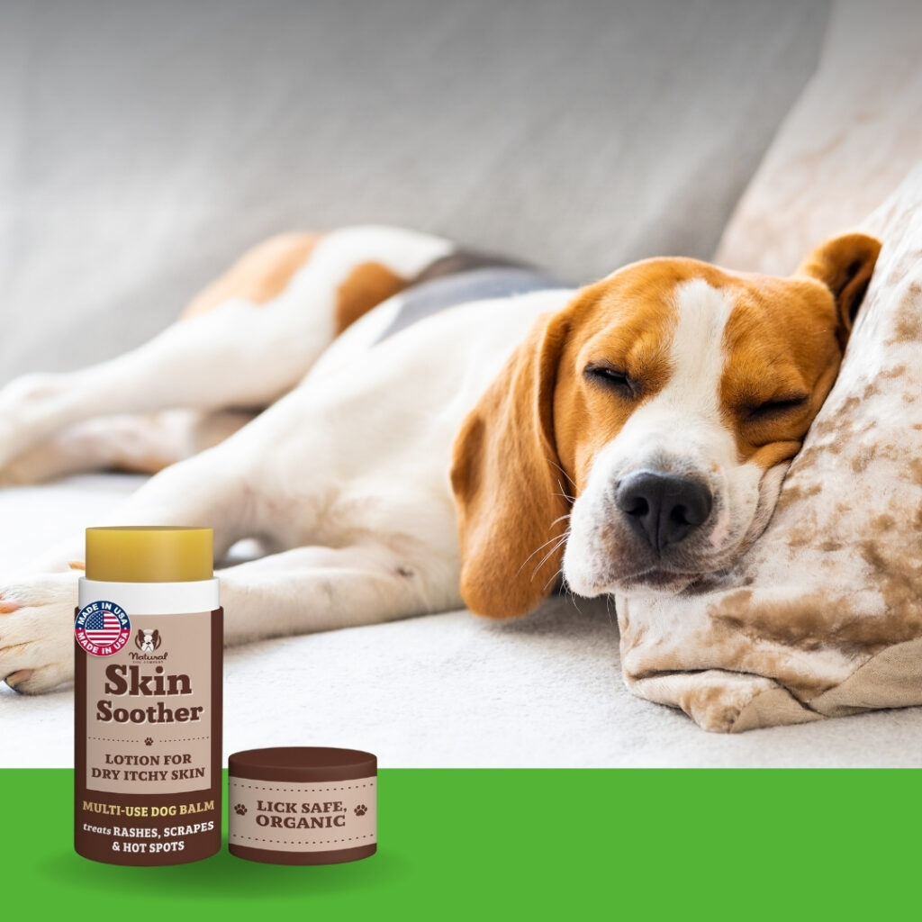 A calm dog resting while being gently cared for with soothing balm application | HappyBarker