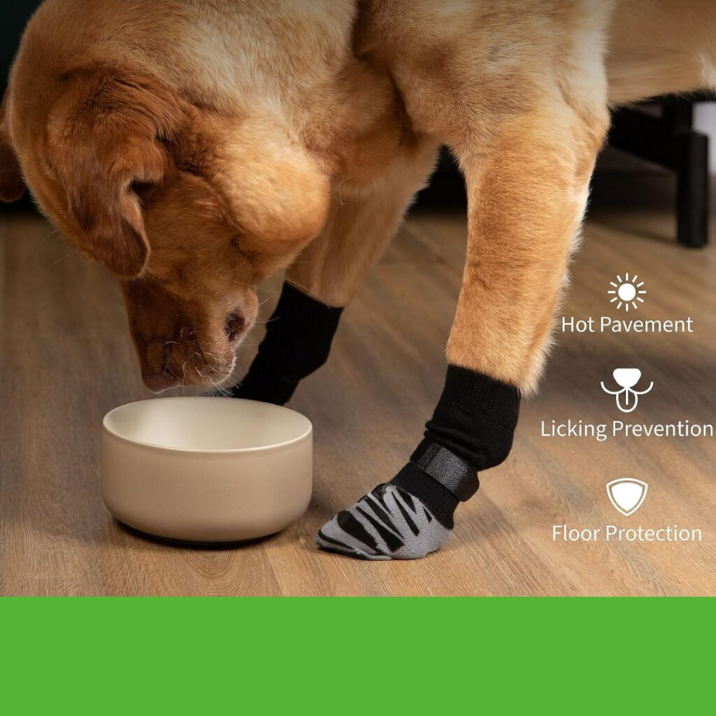 Dog wearing non-slip socks while relaxing indoors | HappyBarker