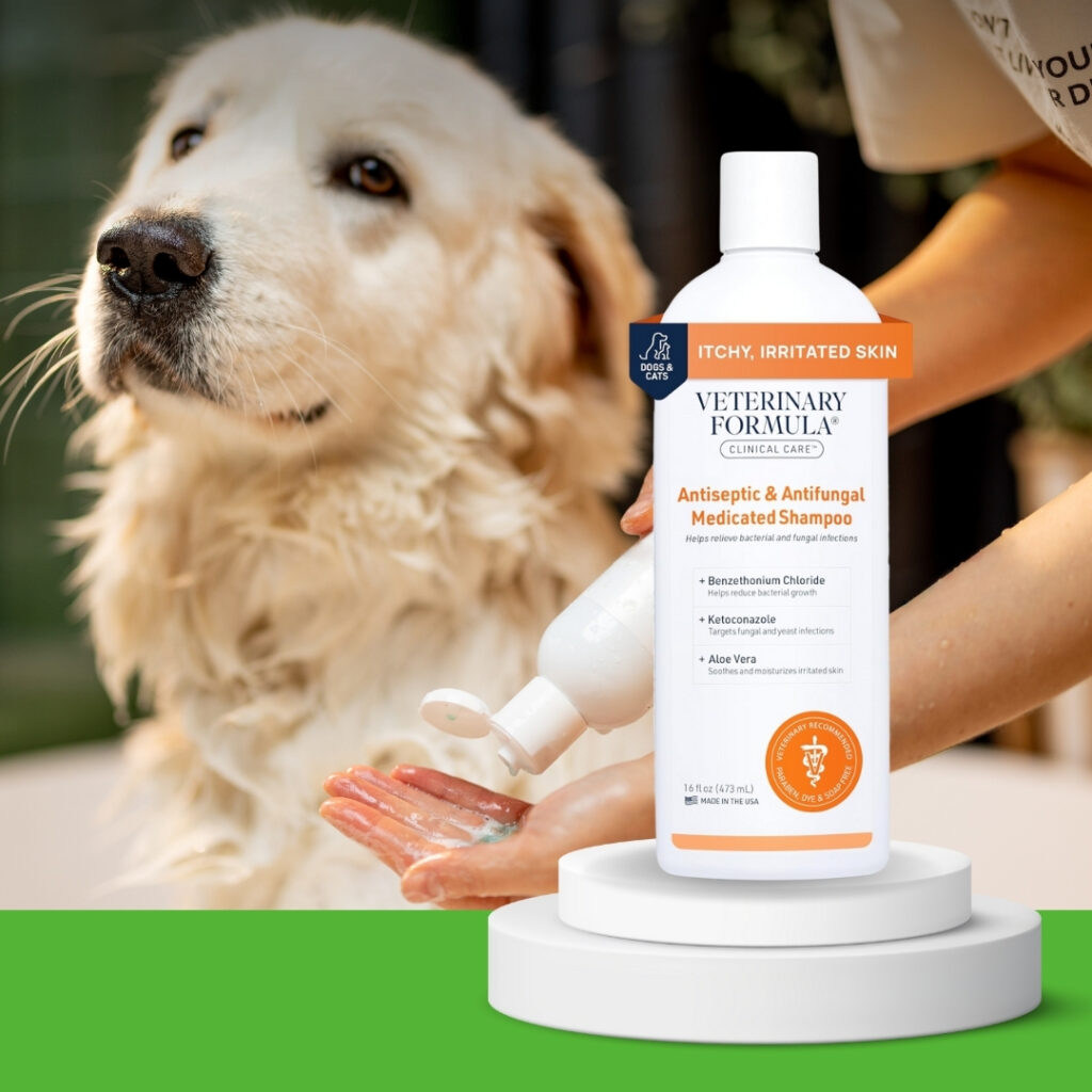 A happy dog with a shiny coat being bathed with gentle medicated shampoo | HappyBarker