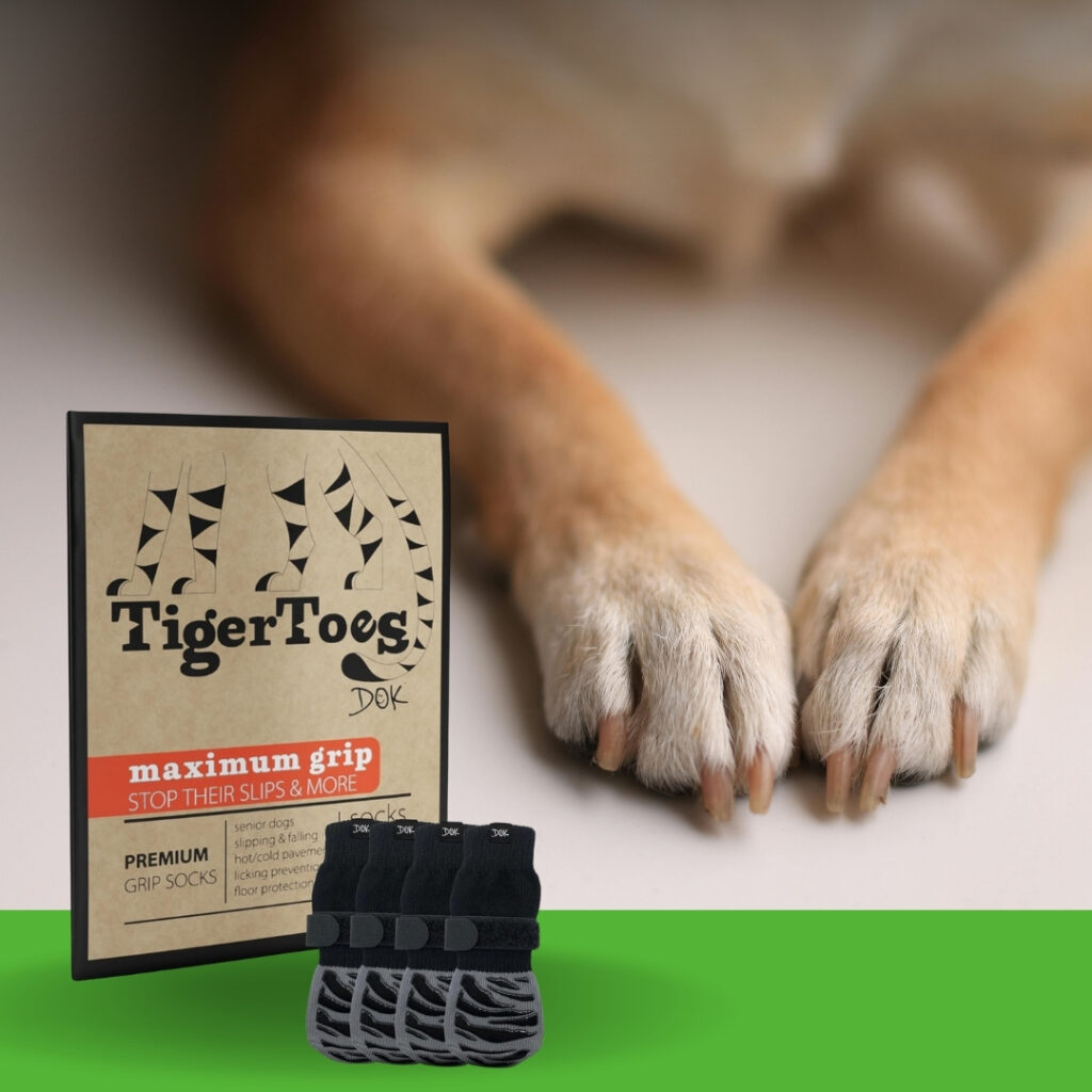 Close-up of dog paws resting beside TigerToes anti-slip socks, highlighting a gentle solution for paw licking and protection | HappyBarker