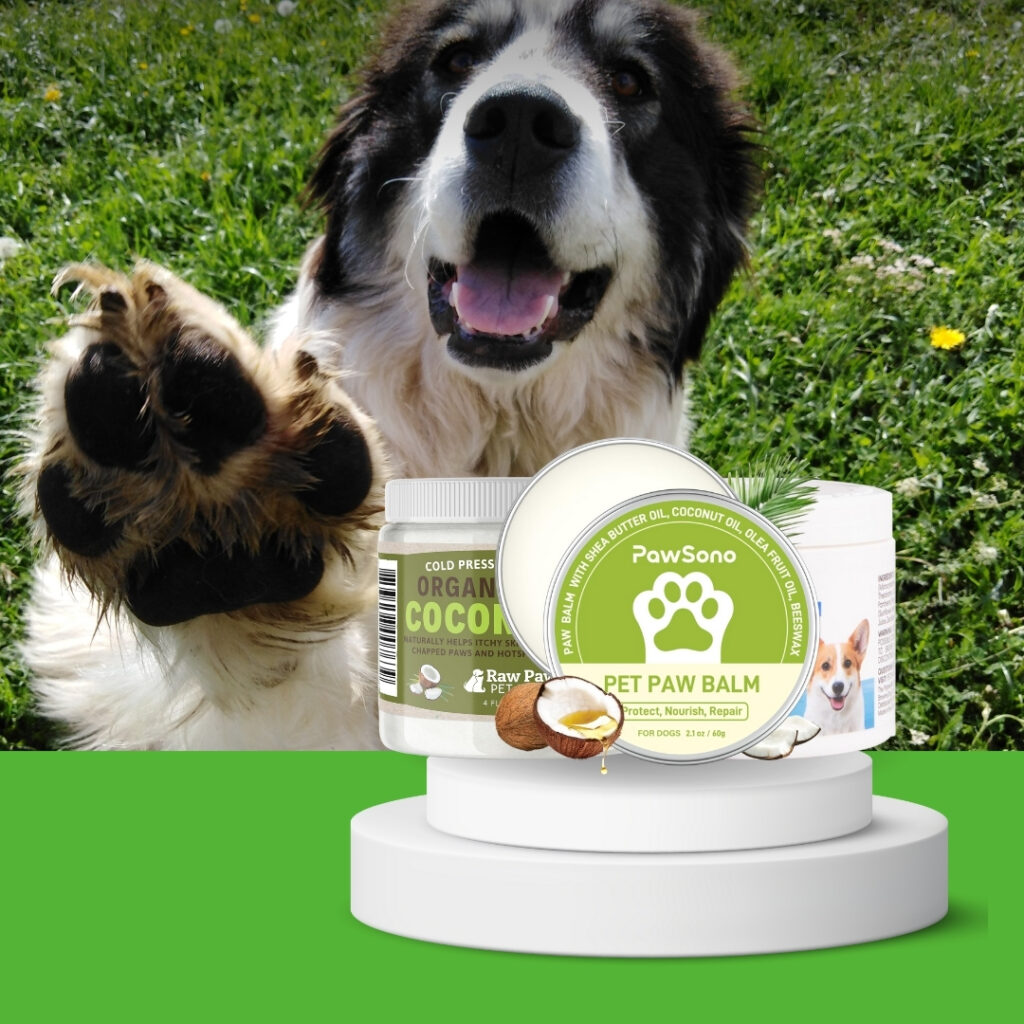 Dog with dry nose and paw balm application moment | HappyBarker