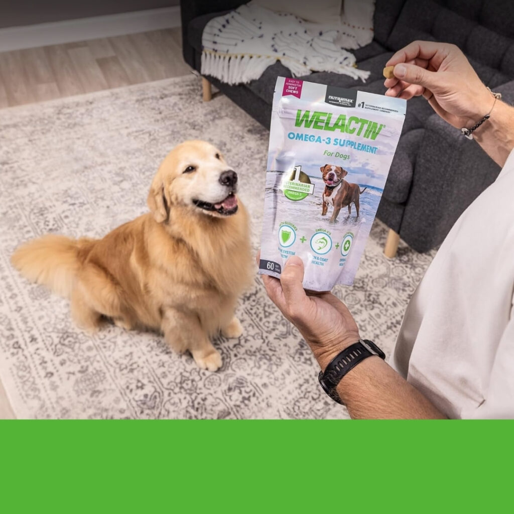 Nutramax Welactin Omega 3 Fish Oil Dog Chews for Healthy Skin and Coat | HappyBarker