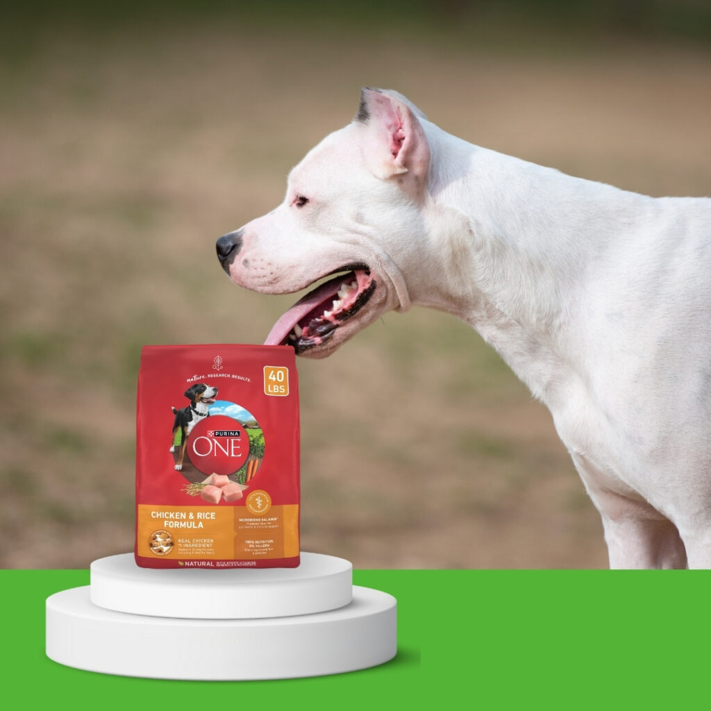Purina ONE Chicken and Rice Formula Dry Dog Food bag | HappyBarker